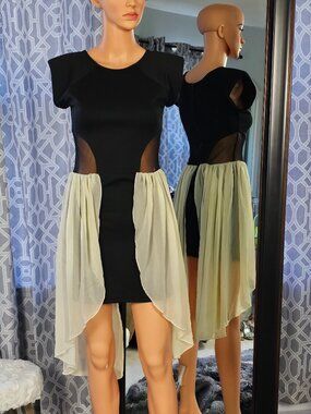 EROW Mesh Bodycon Dress, Size M